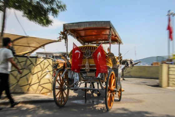 Tourist horse carriage ride in Turkey