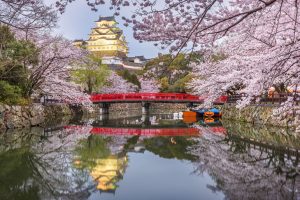 Exploring Japan’s Cherry Blossom Season: A Guide to Making the Most of Your Trip