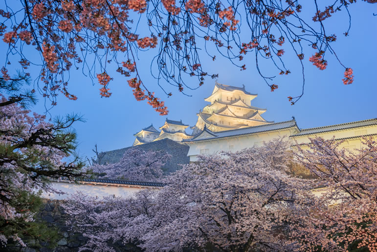 blog seasonal jpy himeji japan at himeji castle during spring cherr 2023 11 27 05 19 34 utc